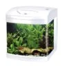 Amtra XCUBE 26 Liter LED Weiß 2 Amtra XCUBE 26 Liter LED Weiß -Fische Als Haustiere 0a79e50ac5ffe30565ec7d68b817ccb5690b4d64 1335240951f484a284b0efd94e16fba3ee91e34e