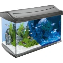 Tetra AquaArt LED Aquarium Komplettset Anthrazit 9 Tetra AquaArt LED Aquarium Komplettset Anthrazit -Fische Als Haustiere 1000033554