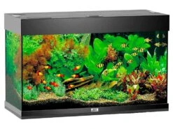 Juwel Aquarium MODELL RIO