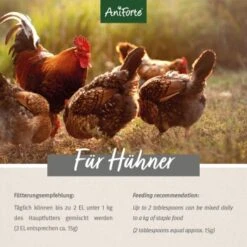 Aniforte Hühnertraum 2,5kg -Fische Als Haustiere 13e31c8dbbabb27d80f3cce6d8a9679ac93eff38 1489436 de DE d0bebbecd550a7264f4c6f2e70174a5bc1f20113ghfben