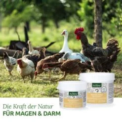 Aniforte Wermix Für Hühner & Co 50g 7 Aniforte Wermix Für Hühner & Co 50g -Fische Als Haustiere 161958b36104ec8c87b36581ab02d07ff75f352f 1489434 de DE 0c332bdd6b16f0ad98823856f9fbdb52e63fd093OsEry7