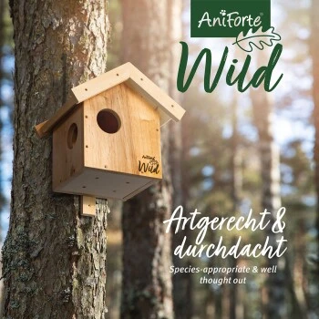 Aniforte Wild Eichhörnchen Kobel 4 Aniforte Wild Eichhörnchen Kobel – Bild 2