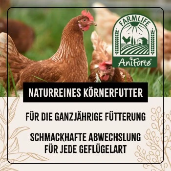 Aniforte FarmLife Geflügel Körner Auslese 5 Kg 4 Aniforte FarmLife Geflügel Körner Auslese 5 Kg – Bild 2