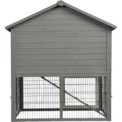 MORE FOR Zwergkaninchenstall Palace -Fische Als Haustiere 2d63600781d2d8d9f5fc9438ac897ba83bf99ae6 62427e371bb13737474e15e3d0c7906160d52239