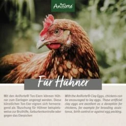 Aniforte Toneier 6er Pack -Fische Als Haustiere 2fca7168177239da75d03f74fa4a1c77159cd287 1489433 de DE 7085a1a388f1f237d3be86504bf98fc686ff7ec2o1r7t3