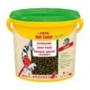 Sera KOI Color L Hauptfutter 3,8l 1 Sera KOI Color L Hauptfutter 3,8l -Fische Als Haustiere 38550a42e279ec71349951c7b073d5b4c28582f3 74af6632f0d7f47632b25b231ed83ca98d3f63f1