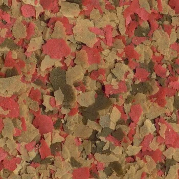 Tetra Goldfish - Das Original 10 L 4 Tetra Goldfish - Das Original 10 L – Bild 2