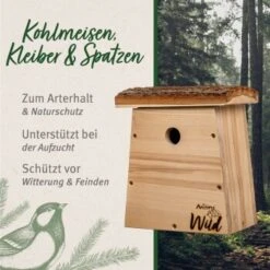 Aniforte Wild Nistkasten Für Kohlmeisen 9 Aniforte Wild Nistkasten Für Kohlmeisen -Fische Als Haustiere 5229d42ec73051405531588f265106153e9daa5b 1457287 de DE b3252917f63ac12e9b84c113f58f5c4974cc3ad47HxFW3