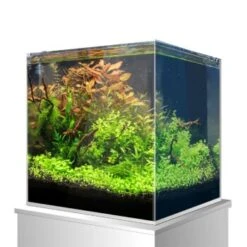 Amtra Nanoscaping Weisglassbecken 15 L 9 Amtra Nanoscaping Weisglassbecken 15 L -Fische Als Haustiere 58236b3cab086b84dd3cc2e4cf34565296c2c99b 8324f35622550151fdc74ef4d8f4c3f144a7a312