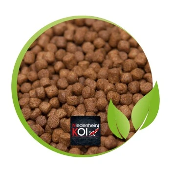 KENKOU JUMBO 5 Kg 4 KENKOU JUMBO 5 Kg – Bild 2