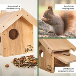 Aniforte Wild Eichhörnchen Kobel 9 Aniforte Wild Eichhörnchen Kobel -Fische Als Haustiere 683d3467c1f520795f7dbcc8d014fa26bda3c1af 1457291 de DE 4e9e82bbeb4e57f21ae24709e3598854fcac104cguX70Q