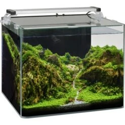 AniOne Nanocube Aquarium Set LED Beleuchtung 14 AniOne Nanocube Aquarium Set LED Beleuchtung -Fische Als Haustiere 6f9d2618c730c997a43f5b738bc5b5fc184d0aed 802fb3dc1900b635f9361452799711b691ad398b
