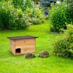 AniOne Igelhaus Holz 5 AniOne Igelhaus Holz -Fische Als Haustiere 791a4b52c847d0928558385180b79d1a08dfd0fb a3c9054545aa063ce44cc8dd2af52aec76657d83