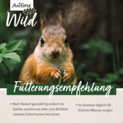 Aniforte Eichhörnchenfutter 1 Kg 14 Aniforte Eichhörnchenfutter 1 Kg -Fische Als Haustiere 7f73354bcb021e39248f5969efdc2ec1bb139b57 1472622 de DE 16db3f538f09bf1ee026ff31ba098faa34552b8192Yma4