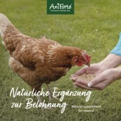Aniforte Hühnertraum 2,5kg -Fische Als Haustiere 91d0d53fa3b5ad18bba084e121acb841d1fbb121 1489436 de DE b026743637447d83056b1e895679d3ce932791feKHu6MG