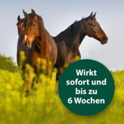 Equisept Fliegen- Und Ungeziefermittel M -Fische Als Haustiere 9c7c8bba2d22b25d7adb97a246e4d0f6ab2dd562 1360556 de DE fd0486c3b29294a653d3f382ebcc3fbe6c3efb3avTrXZy