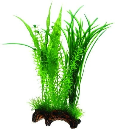 Aquarium Plastikpflanze Flora Root 30 Cm 3 Aquarium Plastikpflanze Flora Root 30 Cm