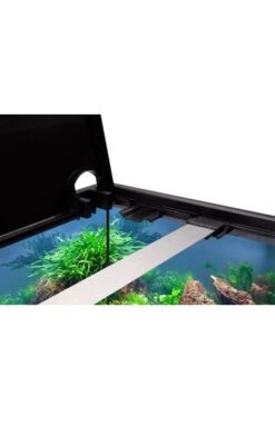 Eheim Aquarium Aquastar 54 Liter Mit LED-Beleuchtung Schwarz - Starterset 61 X 31 X 32 Cm 12 Eheim Aquarium Aquastar 54 Liter Mit LED-Beleuchtung Schwarz - Starterset 61 X 31 X 32 Cm -Fische Als Haustiere Eheim20akvarie20Aquastar205420liter20med20LED20lys20sort p