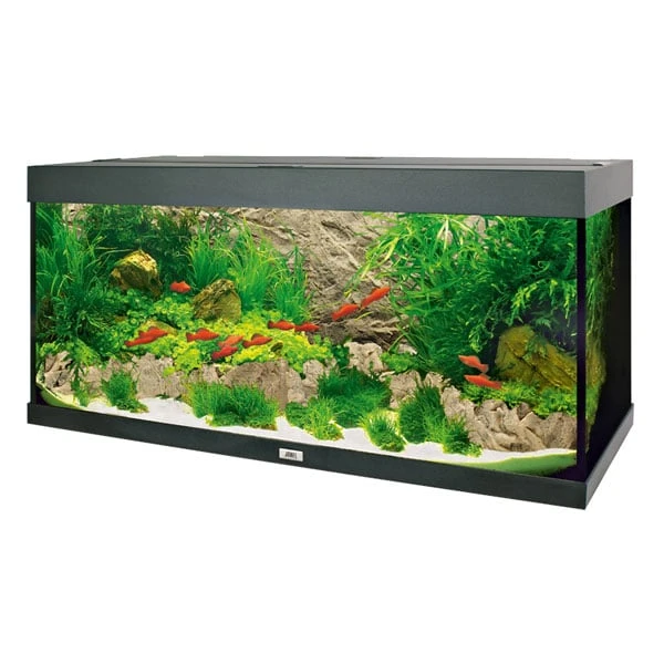 Juwel Motivrückwand Cliff Light 4 Juwel Motivrückwand Cliff Light – Bild 2