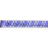 Lumax LED-Leuchte 123 Cm 38W 13000K 1 Lumax LED-Leuchte 123 Cm 38W 13000K -Fische Als Haustiere Lumax LED light 123 cm 38W 13000K 5701883299653 p