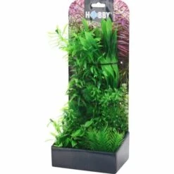 Aquarium Pflanzen Set 4