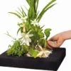 Velda Floating Plant Island Eckig 35 Cm -Fische Als Haustiere a4035882013641bcb02efcefabec9600dbd31a3a 100b1ba818129da8b0a8435161b107775f74faa4