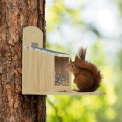 AniOne Eichhörnchen Futterspender -Fische Als Haustiere a7d05daa79174a539062e88ae3dab404e6f4e0be 1272033 de DE AniOne 3