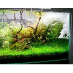 TWINSTAR 2 Aquarium-Sterilisator Yotta Plus 12 TWINSTAR 2 Aquarium-Sterilisator Yotta Plus -Fische Als Haustiere ada aquarium sterilisator twinstar alle 3560e45f5bb9e55a86e07e4ee6e