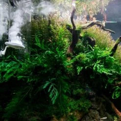 TWINSTAR 2 Aquarium-Sterilisator M3 19 TWINSTAR 2 Aquarium-Sterilisator M3 -Fische Als Haustiere ada aquarium sterilisator twinstar alle 65a86daff9206c