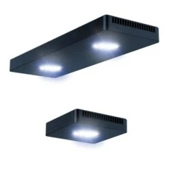 Aqua Medic Spectrus Twin LED -Fische Als Haustiere aqua medic spectrus twin led 4