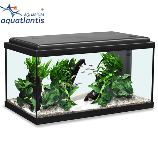 Aquatlantis Aquarium Advance LED 60 3 Aquatlantis Aquarium Advance LED 60