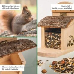 Aniforte Wild Eichhörnchen Futterhaus + 200 G Futter -Fische Als Haustiere b39419b4706cb8b62024b7d697808c4fccd37b2e 1431210 de DE aa826e57820cda5b85197f64ad759a2ed1d1e0199GoABw