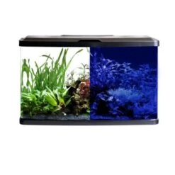 Fluval VUE Kombination -Fische Als Haustiere bbda823f160487a1e226e1d870d67caa0b95aabb d5d0fba806d82ca681608c361f0f7eb1ee2c0d30