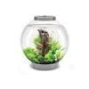 BiOrb CLASSIC 30 LED Silber 2 BiOrb CLASSIC 30 LED Silber -Fische Als Haustiere biorb classic 30 led silber