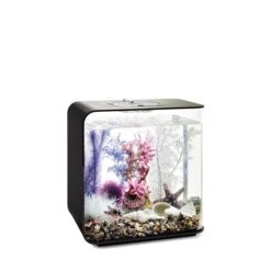 BiOrb Decor Set 30L 9 BiOrb Decor Set 30L -Fische Als Haustiere biorb deco pinkocean 30 3