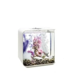 BiOrb Decor Set 30L 10 BiOrb Decor Set 30L -Fische Als Haustiere biorb deco pinkocean 30 4