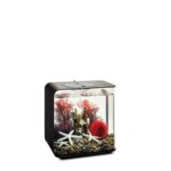 BiOrb Decor Set 15L -Fische Als Haustiere biorb deco redforrest 15 3