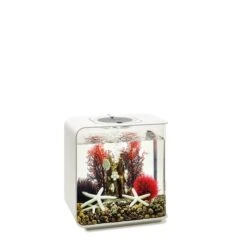 BiOrb Decor Set 15L -Fische Als Haustiere biorb deco redforrest 15 4