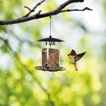 AniOne Futtersäule M. Plexiglas 4 AniOne Futtersäule M. Plexiglas – Bild 2