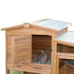 Kerbl Kleintierstall Fortuna 10 Kerbl Kleintierstall Fortuna -Fische Als Haustiere d081e07023ec36295d47b355ce48563f670881d8 85369e235cf3f2d94f960256b257387c77604f61