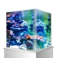 Amtra Nanotank Glasbecken 18 L 9 Amtra Nanotank Glasbecken 18 L -Fische Als Haustiere d6ea9c547f43327bea6d29a541b1445339c9764e 52464418892c0bd7f778500c51d40324e780a12e
