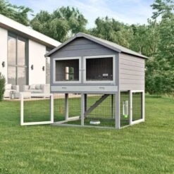 MORE FOR Zwergkaninchenstall Palace -Fische Als Haustiere d74b6ce4d4262f545b5ed9d92c01085145fd8f06 fa57b146f6a65bd59ec4119e9ba1535ea2e369f3