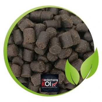 KENKOU Premium Stör 5 Kg 4 KENKOU Premium Stör 5 Kg – Bild 2