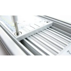 Daytime Matrix-LED-Modul -Fische Als Haustiere daytime matrix led modul 3