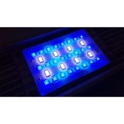 Daytime Matrix PRO-Modul -Fische Als Haustiere daytime matrix promodul sunlike marine31 4