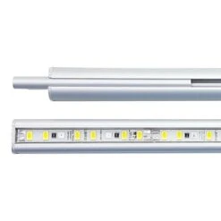 Daytime Onex 170 13 Daytime Onex 170 -Fische Als Haustiere daytime onex led 6vU8klgtdf5BYg