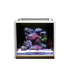 Dupla Marin Meerwasseraquarium Ocean Cube 50 Set -Fische Als Haustiere dupla marin meerwasseraquarium ocean cube 50 set 5tE4lemMMniTDO