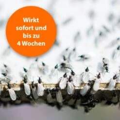 Ardap Ungeziefer Zerstäuber 500ml -Fische Als Haustiere e9bc5258bd9e8c61a455e4801bb5345a2c3d41d8 1662517 de DE 8a18f9e800e4f1a598953e1bc5c410fd9e96c1e61UAUj5