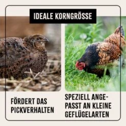 Aniforte FarmLife Wachtel Futter Müsli 5 Kg -Fische Als Haustiere f9d4ddeefe1612dbc4a30e79d439391497fdb8eb 1496424 de DE cc35c973e64a4721f03572d0efc40fd0204d0410AxwbbK