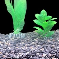 Silbermann Dark Gravel 5 Kg 8 Silbermann Dark Gravel 5 Kg -Fische Als Haustiere ff1094e95dae4f2b4a17de06744297fd7ecdbcef 1490266 de DE 8b44a4fbef1605f539c0ebb3a538a091cec3dbadmMXnlK